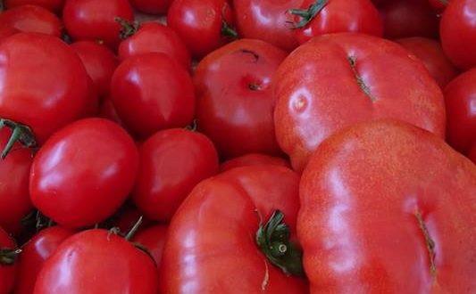 Hungarian Tomatoes